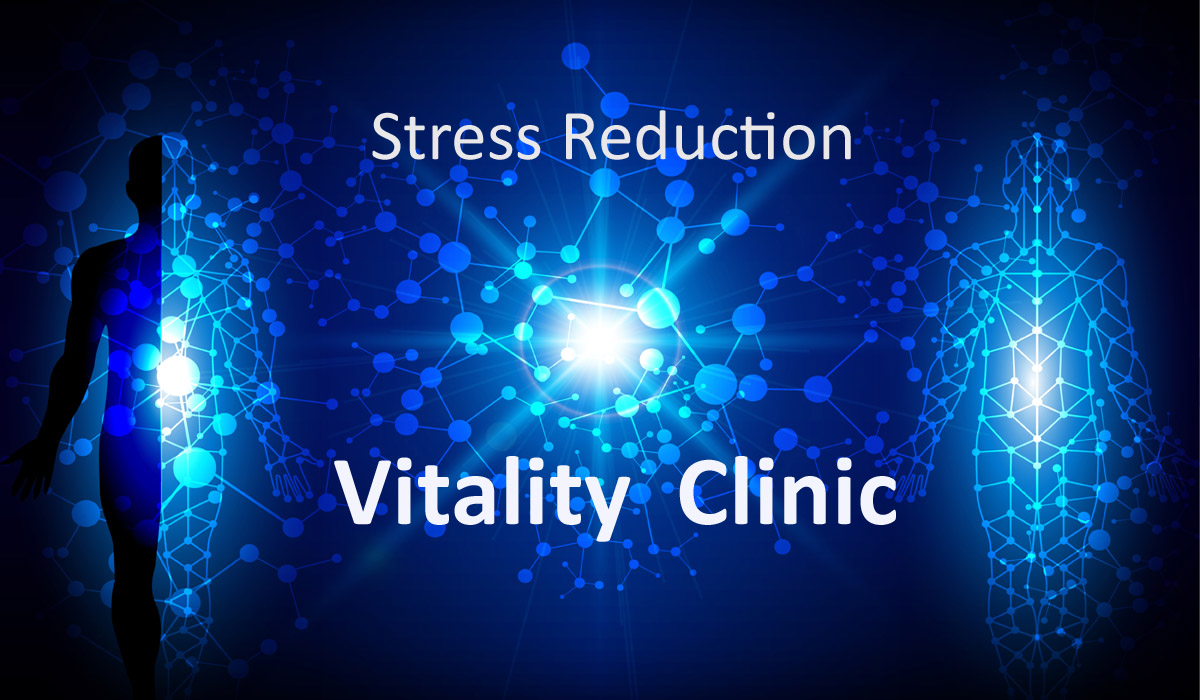  Stress And Vitality Program